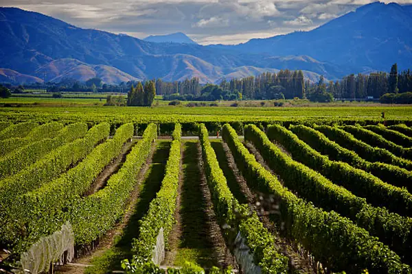 Spirits of Pawling New Zealand Wines